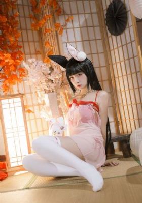 六姊妹 电视剧免费观看西瓜_电影在线观看免费